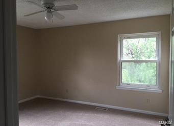 Lake Virginia - Residential