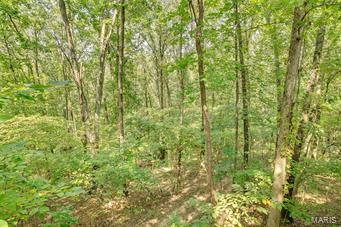 U S Surv 1963 - Residential