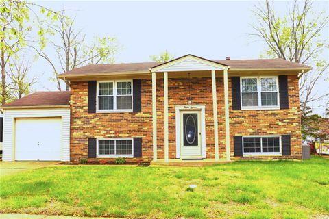 1218 Feliz Ln Fenton MO 63026