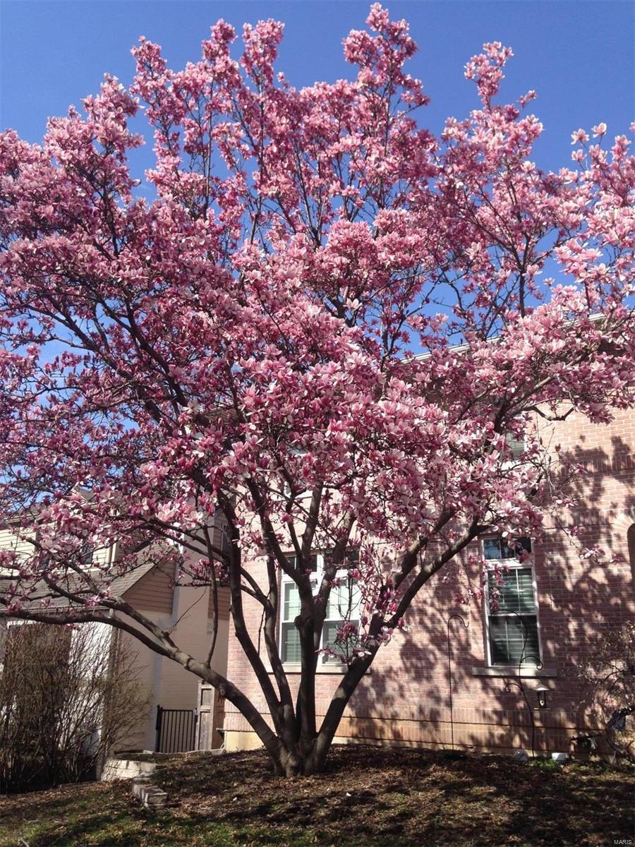 Clayton Gardens - Residential