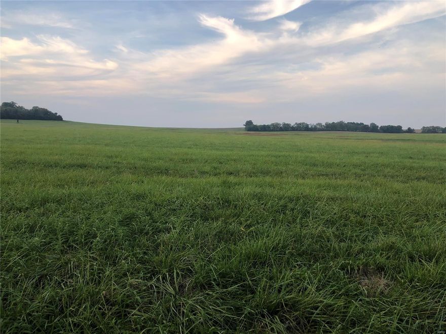 Highly tillable farm in Pike County, MO! 216 acres m/l that is currently in CRP program. CRP program breakdown: 186.72 acres m/l at $145.67/acre, 18.5 acres m/l at $90.30/acre. Approx. 10 acres not farmable that consists of small pond and 2 small patches of timber. The farm has been in CRP for over 30 years and could qualify for an "Organic Farm," potential for hunting lease. Rural water down blacktop. Easement off State Hwy with 40' strip of ground of ownership to blacktop. Seller will consider pulling out of CRP if someone wishes to farm it. Hard to find quality tillable tract that is 96% tillable.