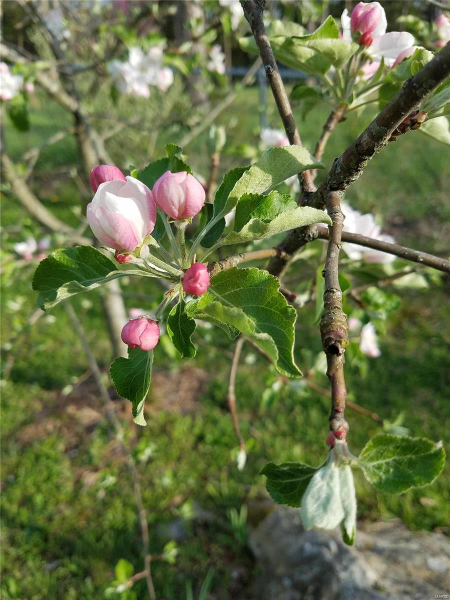 College Hills Subdivision - Residential