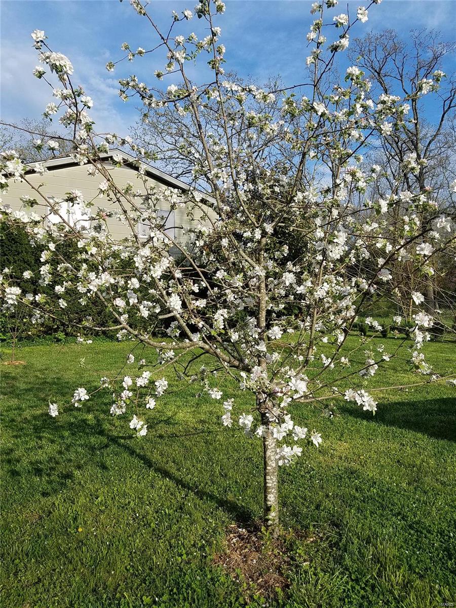 College Hills Subdivision - Residential