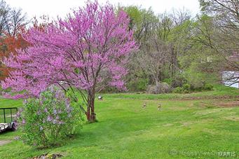 Tanglewood Acres - Residential