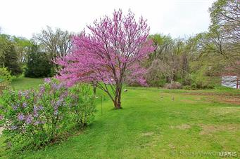 Tanglewood Acres - Residential