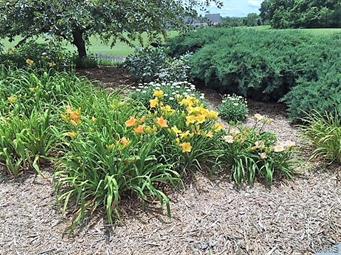 Dubois Creek Farm - Residential