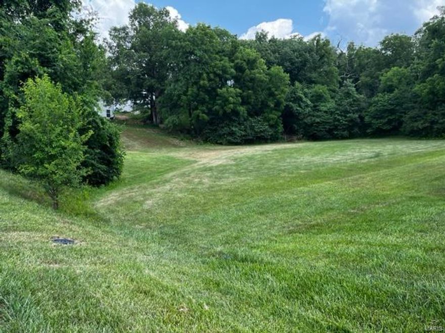 This lot is being sold as an amenity lot and will have a deed restriction on it stating it is never to be built on. It is on the backside of a dam & collects excessive water during storms. As the owner of an amenity lot it is your responsibility to keep it mowed at a normal yard height. Amenity lot owners have the privilege of using the Incline Village amenities which include: Several lakes with the largest lake being approx 220 acres and is used for skiing, tubing & fishing; community pool; clubhouse; a beach with party pavilion; tennis & pickleball courts; playgrounds; basketball; volleyball; horseshoe pits plus activities like Band on the Beach, Bingo, Golf Cart Parades & more! For rules & regs, boating info, etc go to: www.inclinevillage.info