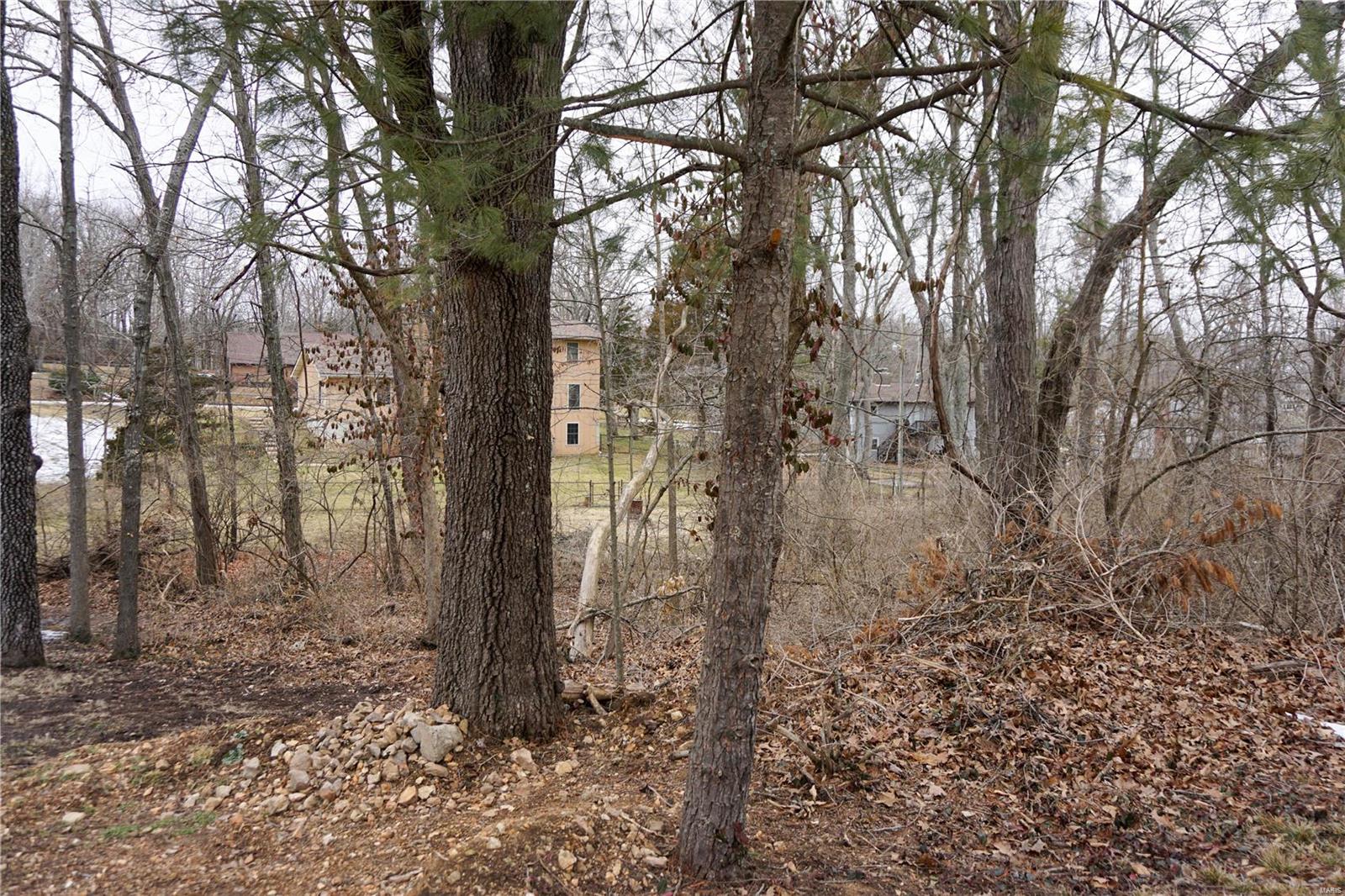 Wedgewood Manor - Land