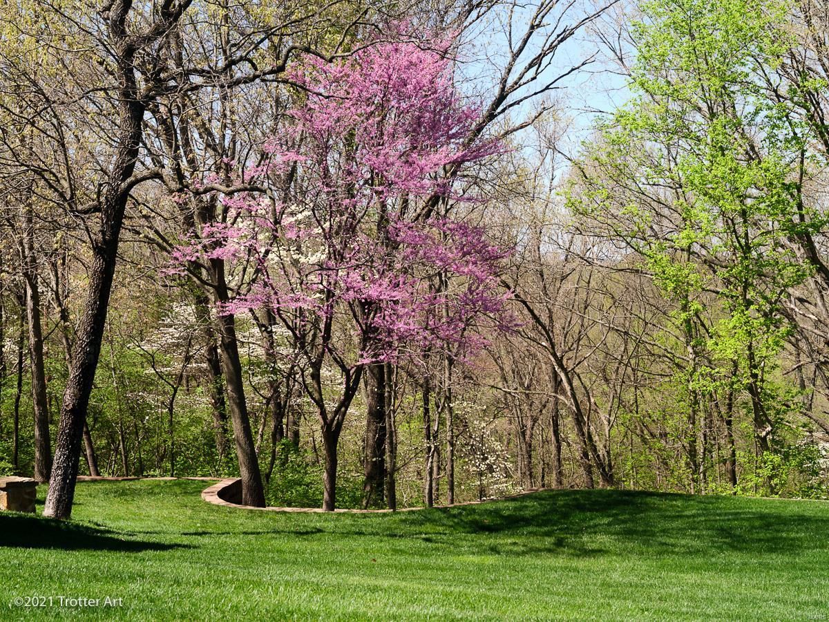 Chesterfield Lakes - Residential