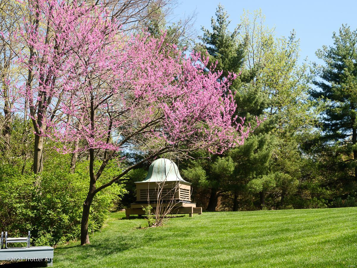 Chesterfield Lakes - Residential