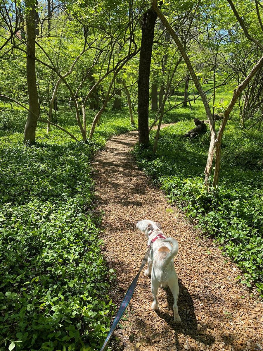 Birchwood - Residential