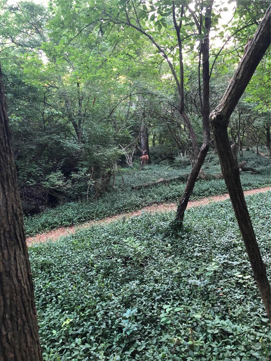 Birchwood - Residential