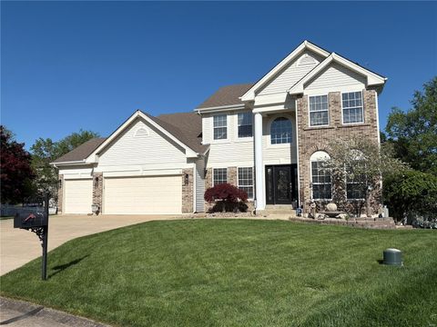 375 Falcon Hill Drive O'Fallon MO 63368