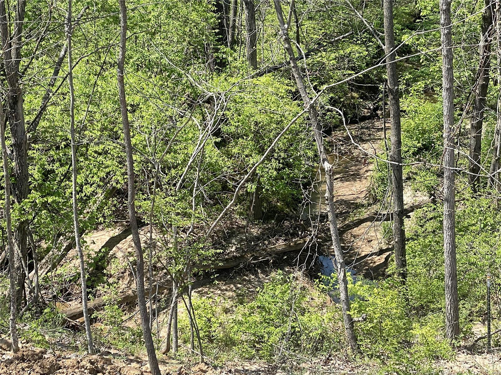 AUBURN MEADOWS - Residential