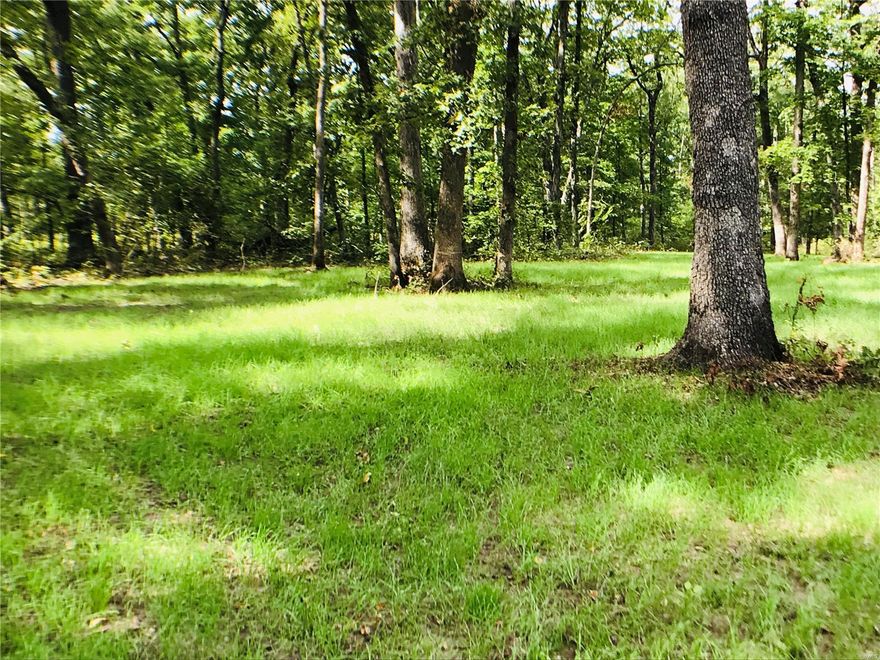ATTENTION HUNTERS!  If you’re looking to OWN your own peice of hunting ground, here you go...83.9 +/- Acres.  Wooded acreage with food plots at several locations, wet weather creek, and trails that meander through the property.  Look for the deer prints in the food plots.  Camping quarters for the hunters in the 50 x 10 manufactured home and wood stove for heat, and an outhouse.  10 miles South of the Highway 70, 2 miles of gravel, puts you close to home for your hunting needs.   Electric on site. Just the rustic location you've been looking for.
Property is realtor owned.