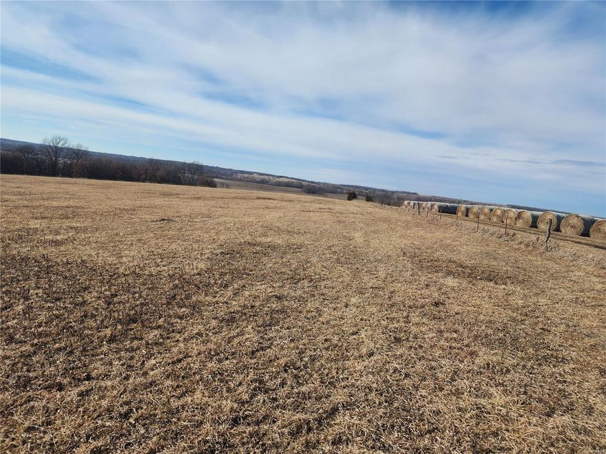 160 AC LINN COUNTY
140 AC TILLABLE CURRENTLY IN PASTURE BEING CONVERTED TO CROP IN 2025. OWNER IS WILLING TO RENT THE FARM BACK FOR $250 PER TILLABLE ACRE WITH A 3 YEAR LEASE. THERE IS A HUNTING LEASE IN PLACE PAYING $3,000 A YEAR. PRICED AT $5950 PER ACRE