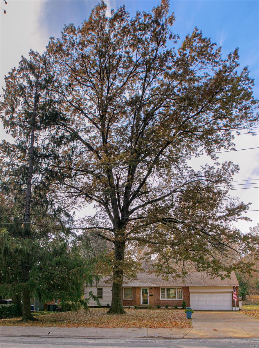 ELIZABETH TERRACE LOT 1 - Residential