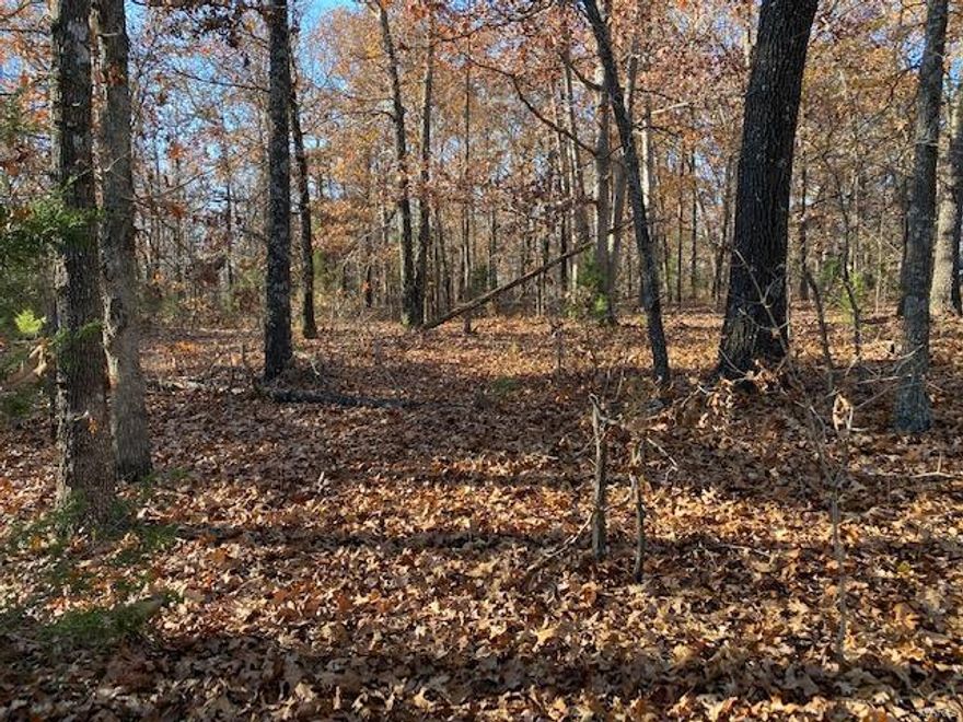 1 acre m/l just off Hwy 63 north of Cabool. Build your getaway cabin on this wooded lot and be within minutes of the Big Piney river access. 50' culvert and driveway access already in place.
