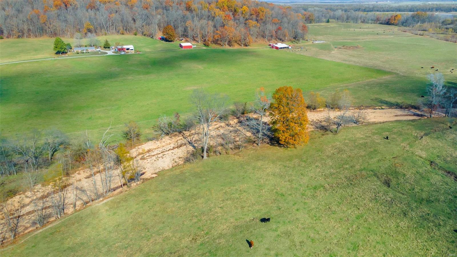 1438 County Road 535