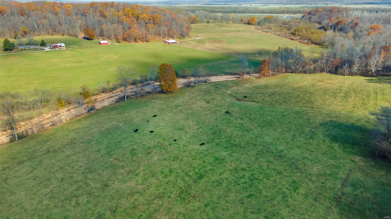 1438 County Road 535