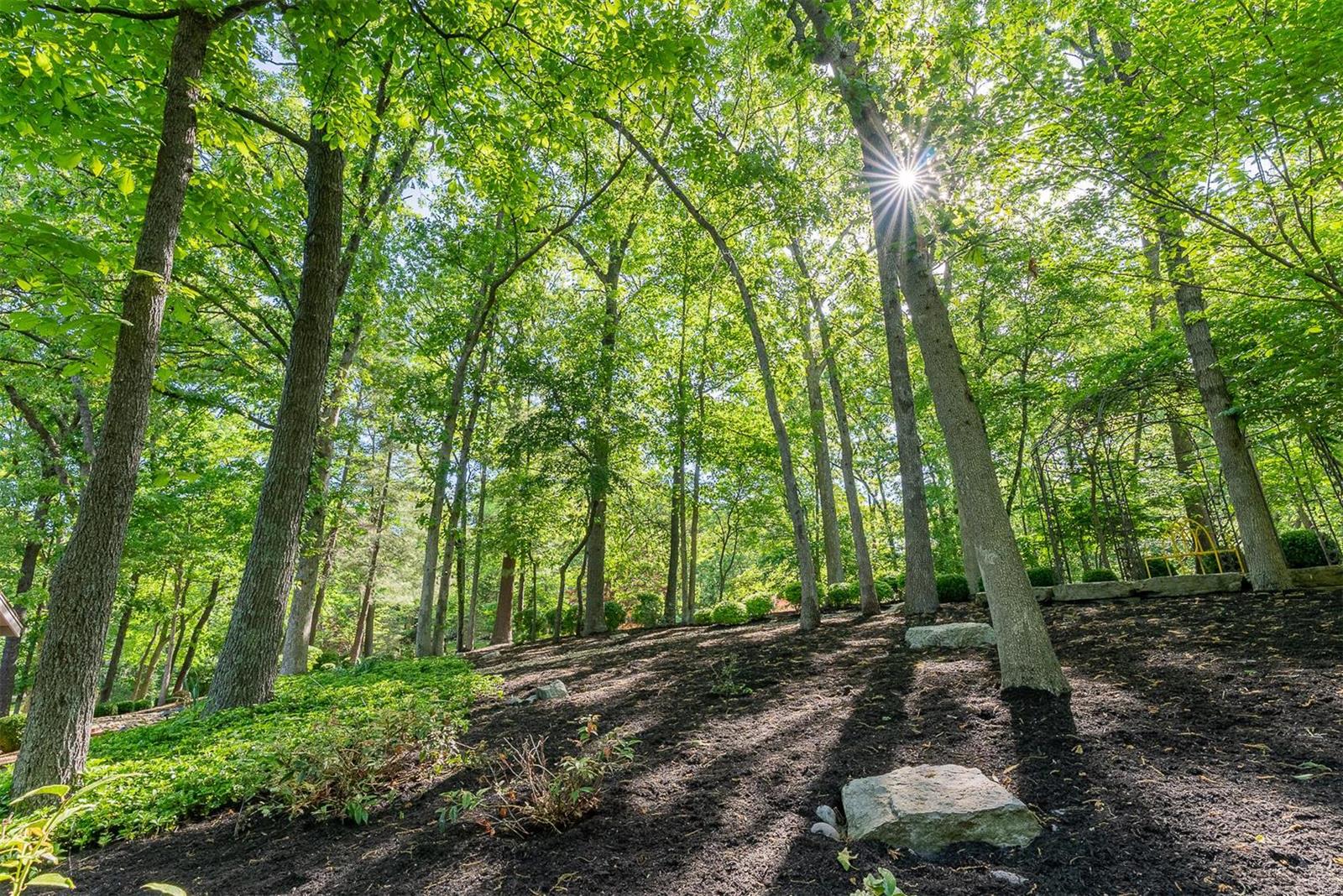 Pleasant Valley Forest 2 - Residential