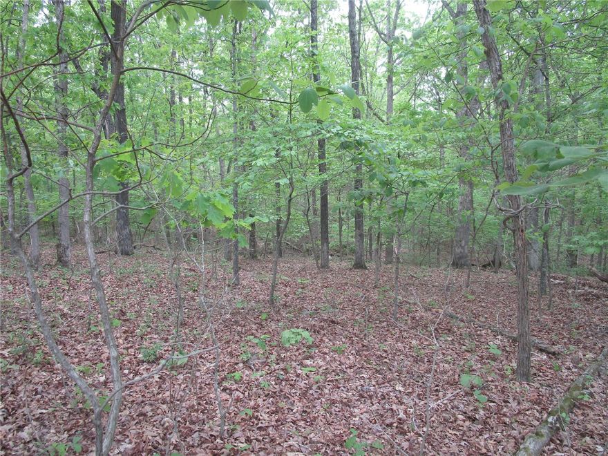 Check out this hard-to-find full time camping lot! Located in a wooded area makes this 0.49 acre lot the perfect place to camp. Lake Perry is a gated community offering sandy beaches, pool, restaurant, shower houses, laundry facility, fishing, boating, public pavilions and more!