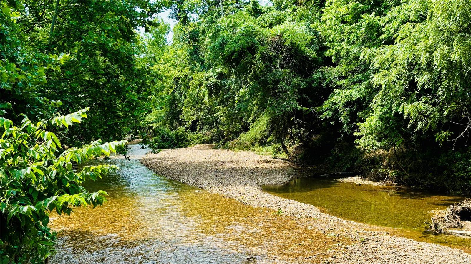 Deep Forest - Residential