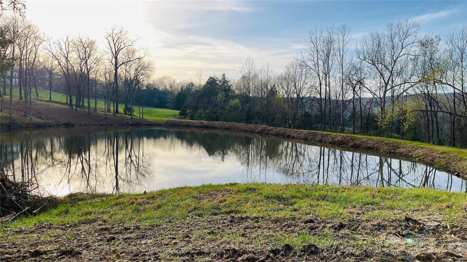 Deep Forest - Residential