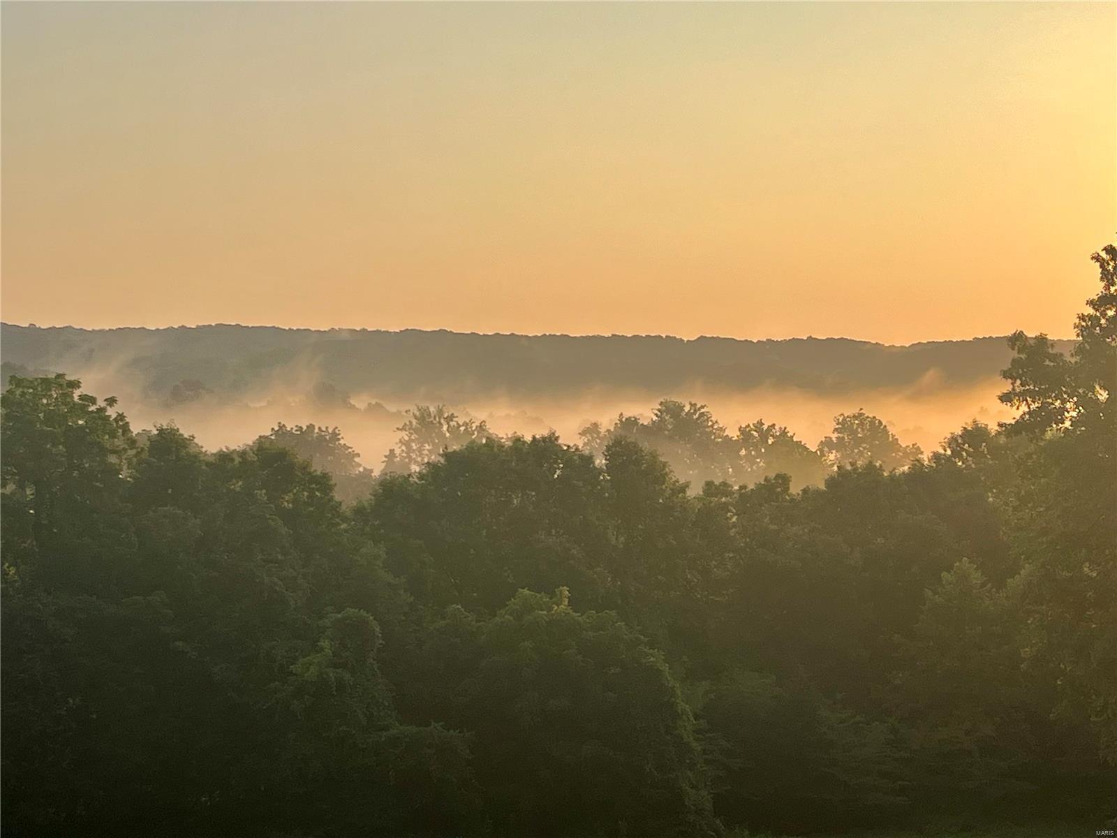 Deep Forest - Residential