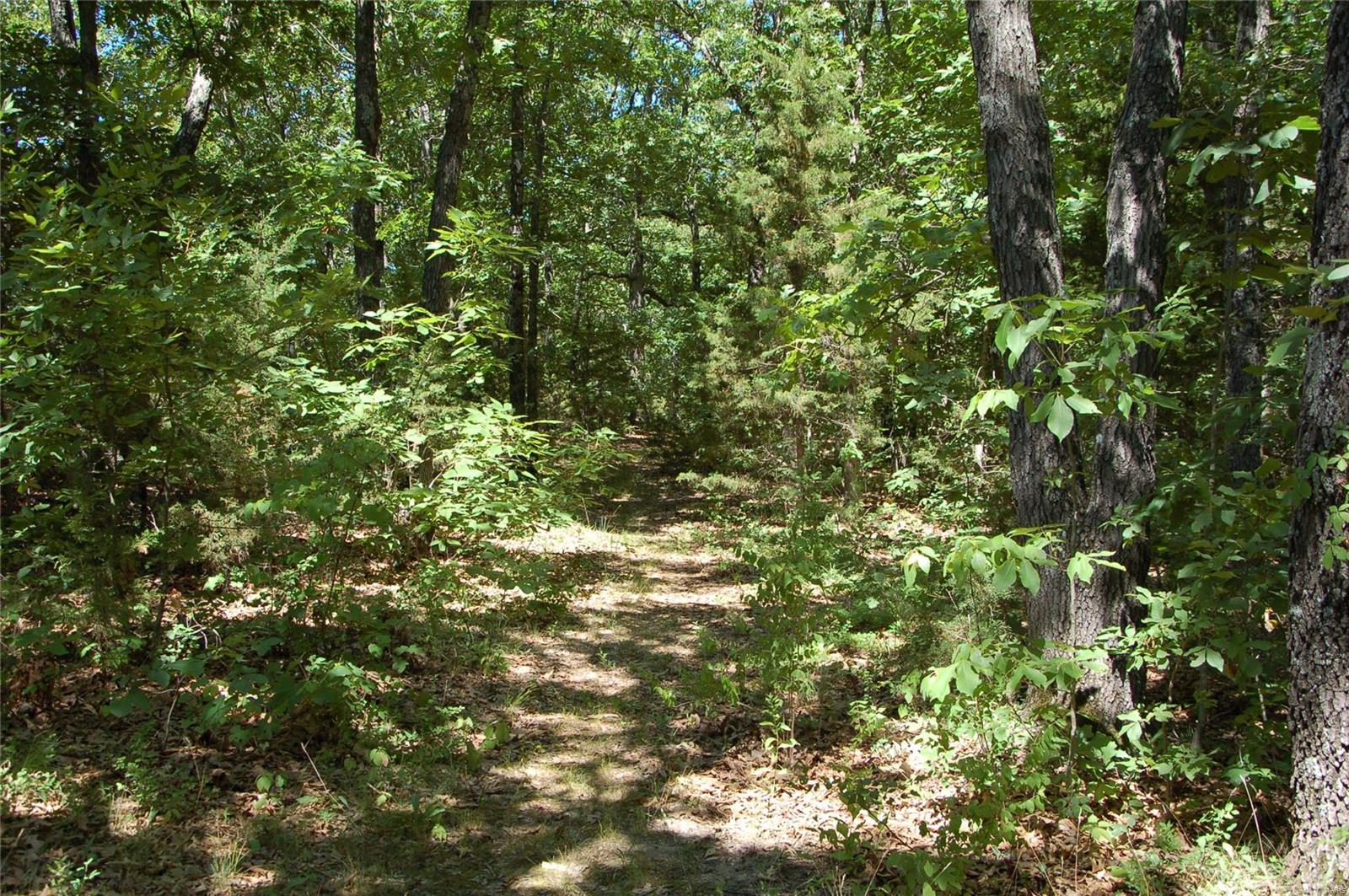 International Village - Residential Income