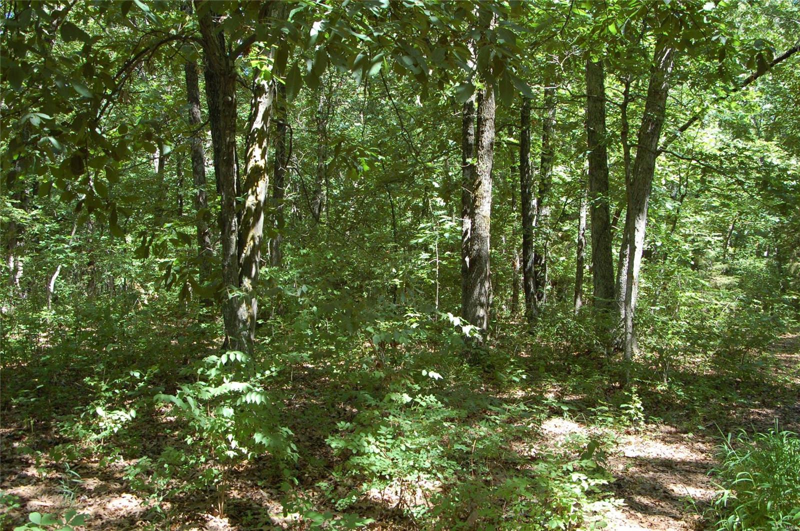 International Village - Residential Income