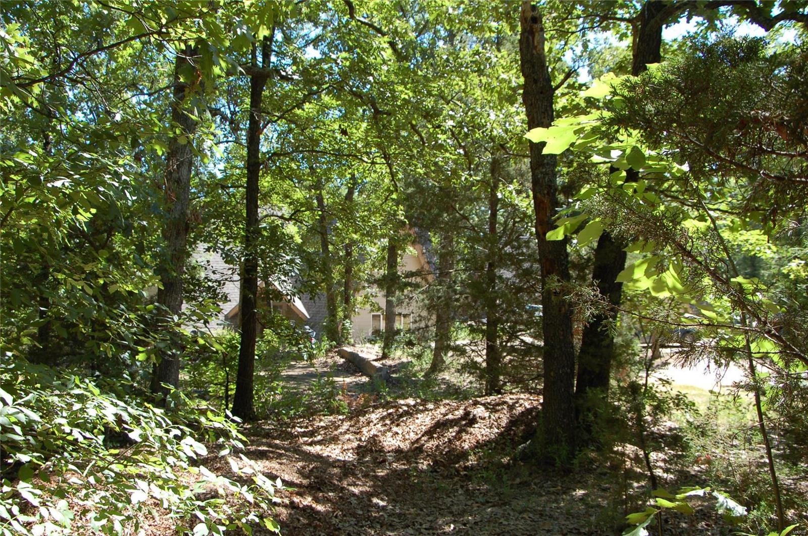 International Village - Residential Income