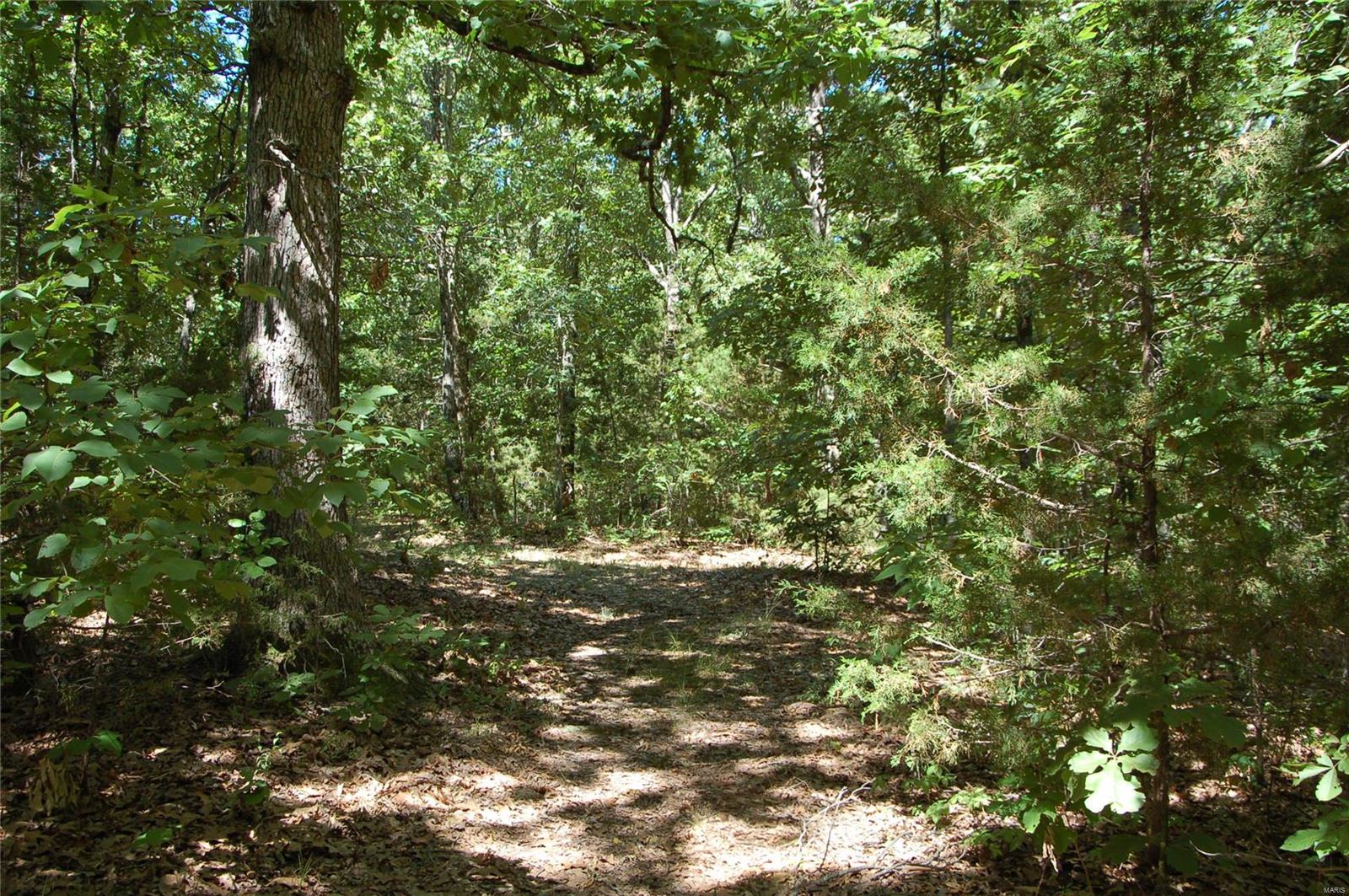 International Village - Residential Income