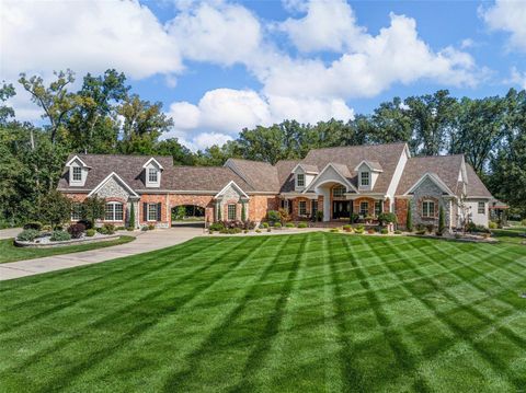 Photo of 261 Bless Us Drive E, Wentzville, MO 63385 (MLS # 24055497)