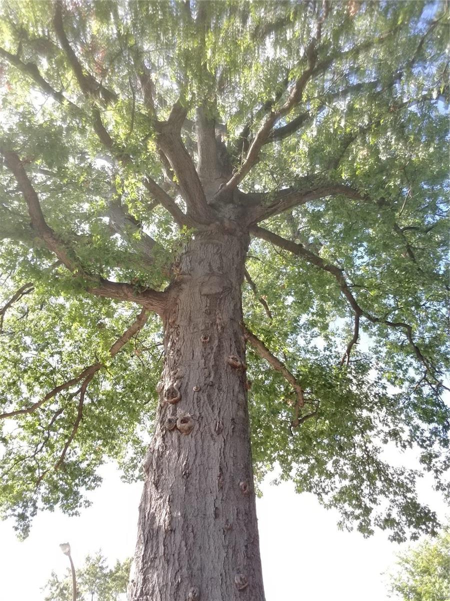 South St Louis Suburbs - Residential