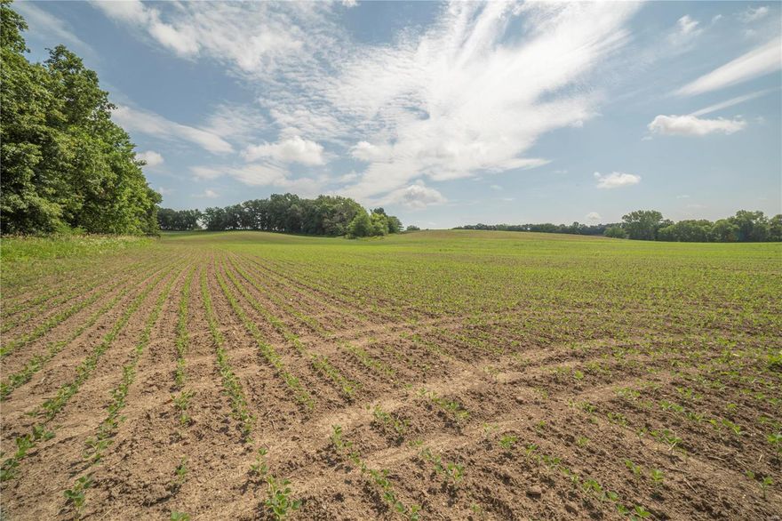 Survey the surroundings and you will immediately think to yourself—this farm has it all! Whether you're looking for a great hunting farm, pasture ground, bottom ground tillable, or a fantastic build site, this is it! Located approximately 7 miles north of Novinger in Northeast Missouri, this diverse farm offers a versatile range of uses such as deer and turkey hunting, cattle and horse grazing. Not to mention, it includes 60 acres of tillable land, enhancing its income potential.The southern end boasts a beautiful ridge with timbered draws and mixed brush, creating an excellent habitat for wildlife .Additionally, the northern end of the property provides blacktop access from two locations and a scenic spot ideal for building a new home or cabin, offering stunning views of the land you would own and the surrounding farms. This farm truly offers something for everyone. Don’t miss out on this fantastic opportunity!