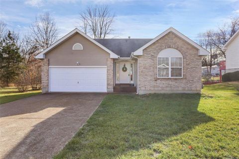 Photo of 1016 Sara Jane Lane, St Clair, MO 63077 (MLS # 23074110)