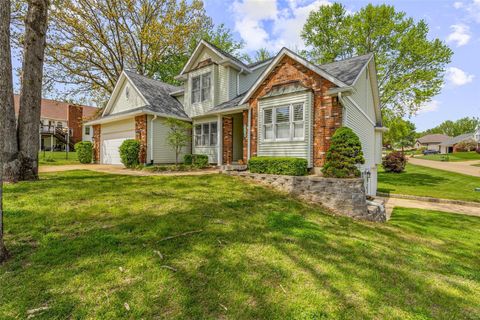 1333 Melvin Drive Festus MO 63028