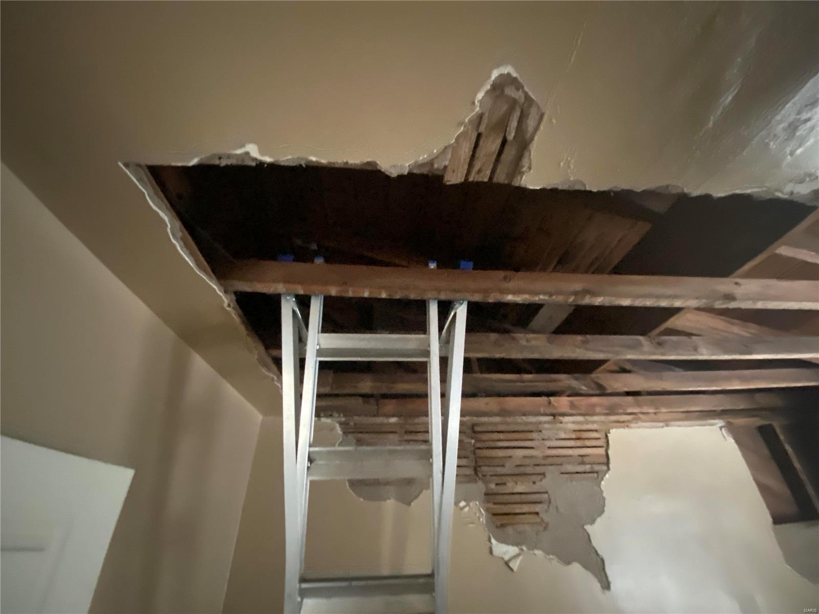 Olivania Park - Residential