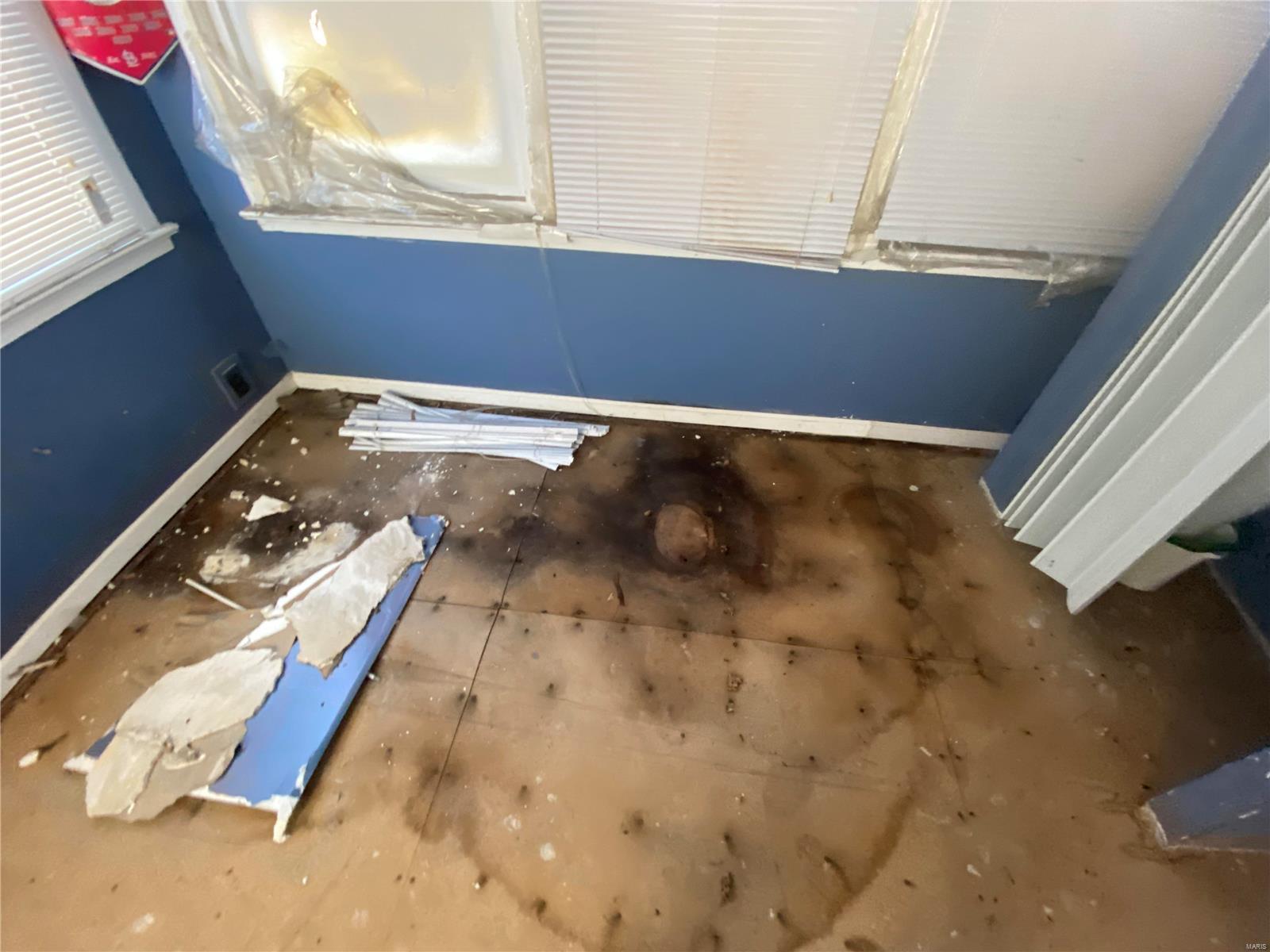 Olivania Park - Residential