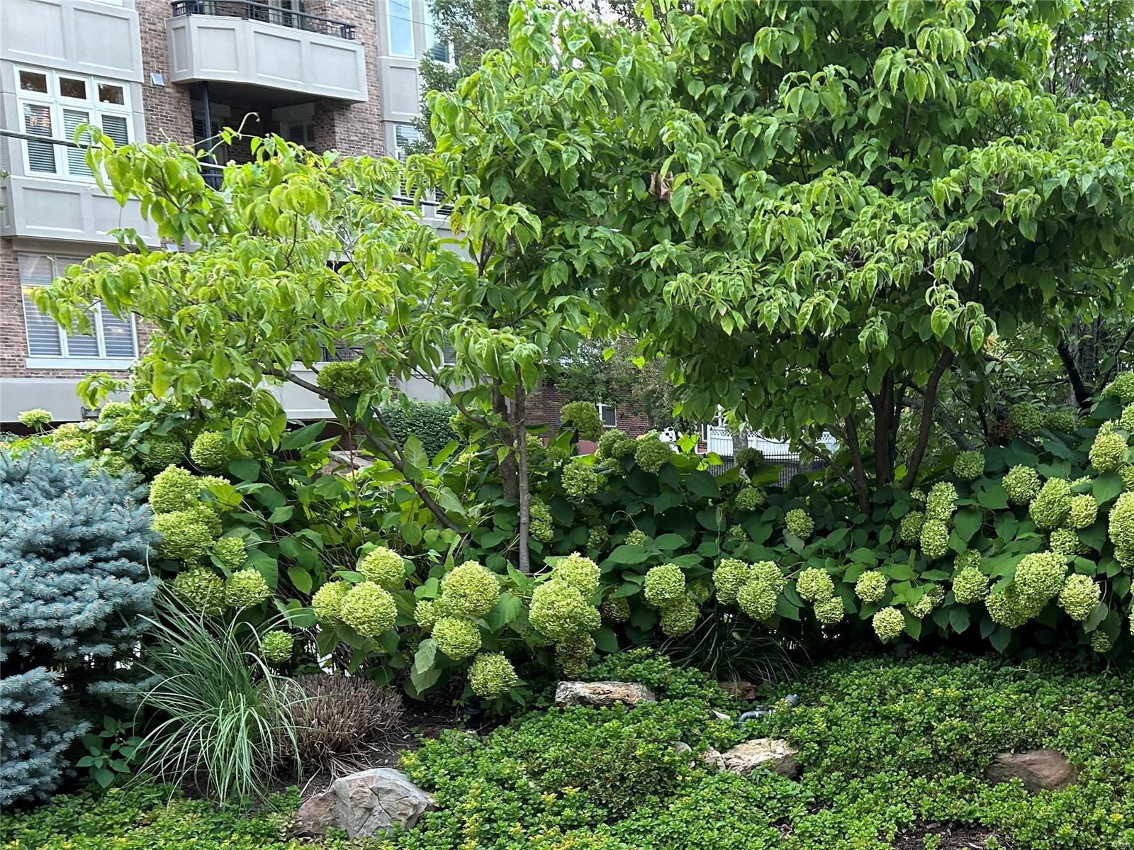 North Pointe Clayton - Residential