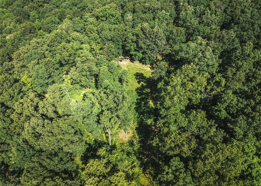 Located just outside of Marble Hill, Missouri sits this 42 acre wooded tract. With the abundance of wildlife in the area it would make for the perfect hunting parcel. There are also multiple spots to build your dream home or hunting cabin. The creek bottom flows on rainy days which makes it ideal for wildlife. Don't miss out on this beautiful property featuring some marketable timber.