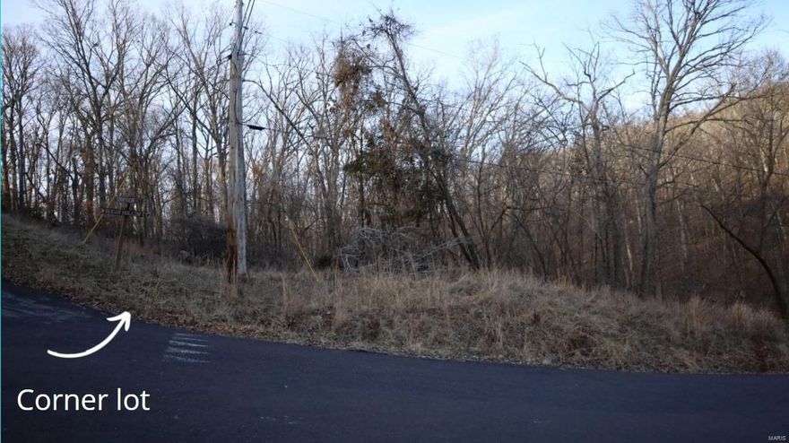 Here is an access lot to Lake Sherwood Estates in MO and in Warren County. A 24-hour gated lake community. Small price for big adventures and making endless memories at the LAKE. Watch the virtual tour on some of the amenities Sherwood has to offer.  Water,sewer & electric are assessable for hook up on every lot. As an owner in Lake Sherwood, we enjoy the many amenities we have to offer. As in Six lakes from 3-135 acres (main lake welcomes gas powered motors and the other five can be electric) New Clubhouse,Lakeside Grill,Club pool in the works,campgrounds for overnight stay w/ full shower house, sandy beach area,marina all year round actives! In Washington School District minutes from beautiful downtown Marthasville. Charming towns of August, Foristell, New Melle and Washington are nearby. 35-min drive from Chesterfield and located minutes to Missouri finest wineries. What are you waiting for! Make this summer the best one ever!