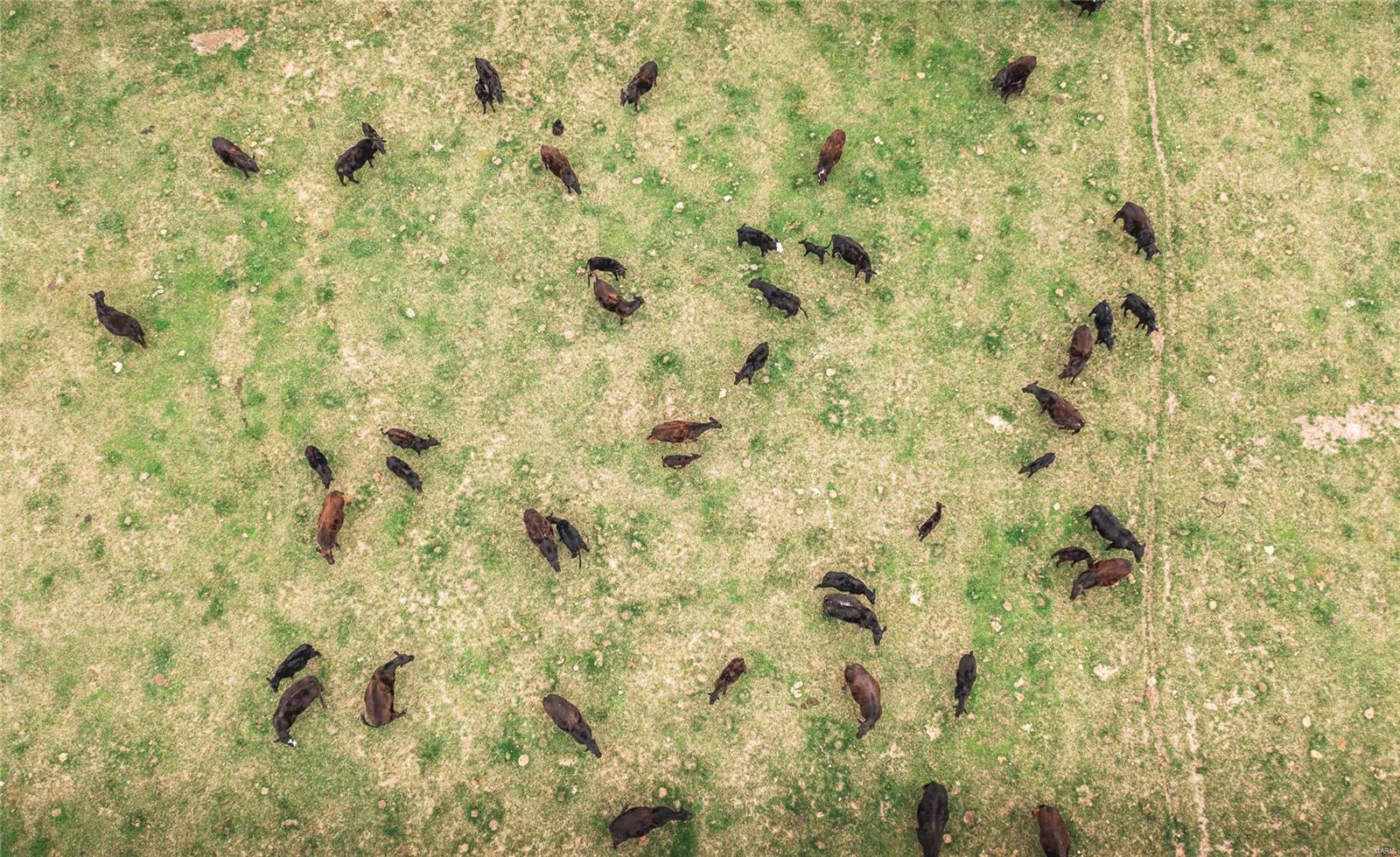 N/A - Farm