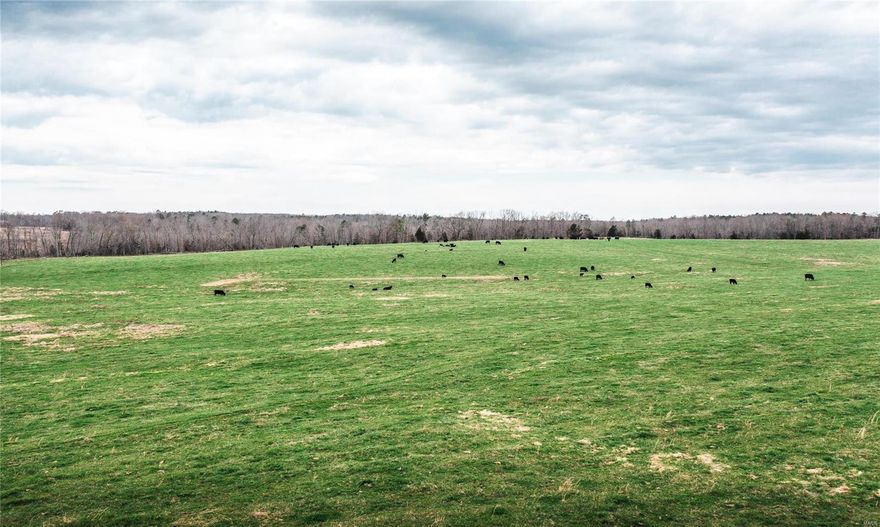 If you are looking for a ready to go pasture farm the search is over! This farm has grass everywhere, limed fertilized and up to soil test. New steel corner, steel post, barbed wire, fenced and cross fenced for rotational grazing, automatic waterers, a new steel welded set of working corrals, and a well maintained old barn. You wouldn't find a prettier place that is ready for your cattle or horses. Located with both the State Highway and County Road frontage, public water and sewer available. This would be the perfect place to build your dream home. There is a year around creek that runs through the corner of the property. The property is filled with tons of wildlife, deer and turkey that you can see daily in the fields. There is just enough woods on the property for great habitat as well as plenty of hunting all at home. Come take a look, you wont regret it!