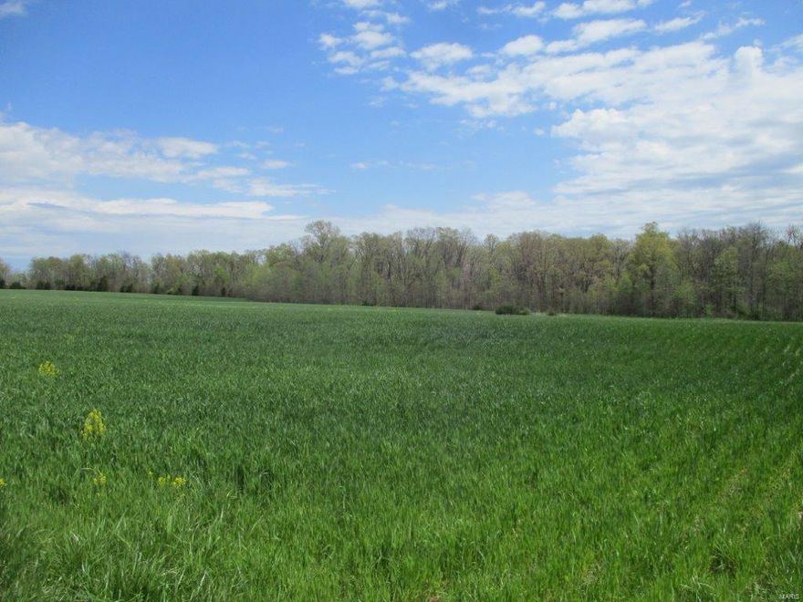 Tremendous opportunity for the savvy 1031 investor.  This property has approximately 100 tillable acres with a cash rent farm lease (additional information available upon request).  The crop lease can be broken by the purchase after the 2021 growing season if so desired; crop in the ground at the time of sale belongs to the tenant farmer.  Cash Rent can be prorated to the day of closing.  This property has 1.5 miles of road frontage!  Just 1/2 mile from Montgomery City limits and close to Hwy 19 and I-70! 3 large possible lake sites.  Great hunting!  Electric on property!  This would make a nice golf course or lake development.  Public water is just a short distance away.
*Property can also be split into two smaller parcels: MLS #s 21013540 & 21013547)!*