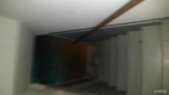 Paddock Hills 5 - Residential Lease