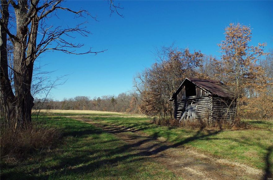 296 Acres “Montgomery City”, Montgomery County, MO, Located just southwest of Montgomery City on Hwy 161, lies this 296-Acre farm. This rolling heavily wooded property features 262 acres woods and 34 acres tillable. This Expansive Tract of Timber has Tremendous Wildlife Habitat, Ponds, and Water Holes, Creeks and Draws for Holding Deer and Turkey. In addition, there is a Large Lake Site on the property. This Land Holding Opportunity is just 2.5 miles north of I-70 at the Danville exit. 70 minutes from the St. Louis Metro Area.