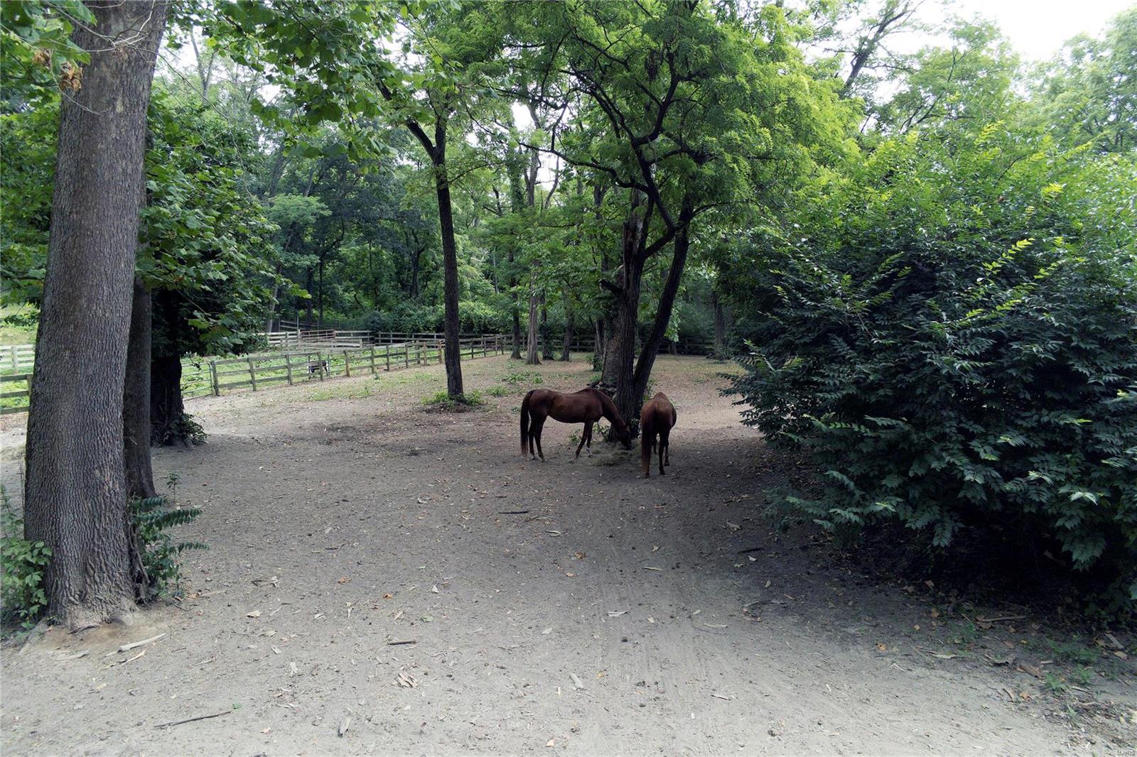 Denny Lane - Residential