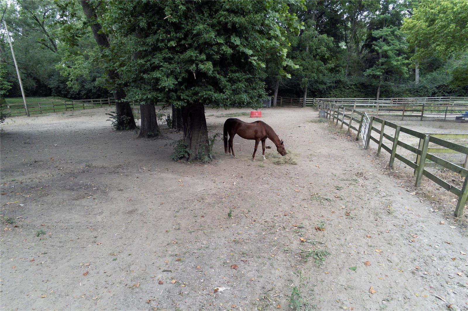 Denny Lane - Residential
